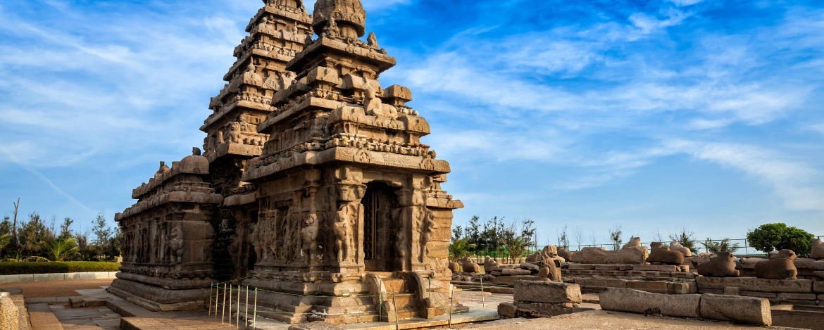 Mahabalipuram & Kanchipuram Temple Tour
